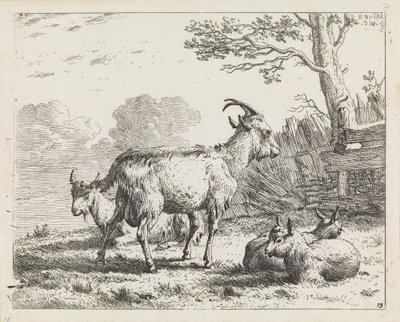 Négy kecske alkotó: Karel Dujardin