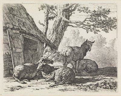 Négy juh alkotó: Karel Dujardin