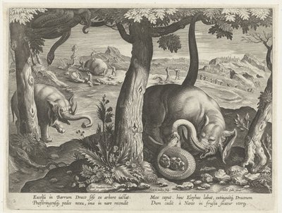 Olifant a harcban találkozott a szlenggel Jachttaferelen (sorozat címe) Vadra, tyúkra és halra vadászat a Bestiáriumban (sorozat címe) alkotó: Karel van Mallery (attributed to)