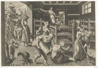 Eperfa levelek gyűjtése és a selyemhernyók etetése A selyemhernyó és a selyemtermelés bemutatása Európában (sorozat címe) Vermis Sericus (sorozat címe az objektumon) alkotó: Karel van Mallery