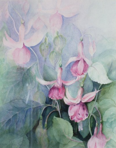 Fuschia, rózsaszín kocsis alkotó: Karen Armitage