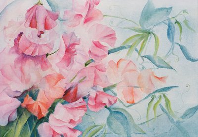 Lathyrus Odoratus, édes borsó (vízszintes) alkotó: Karen Armitage