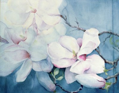 Magnolia Soulangeana (vízszintes) alkotó: Karen Armitage
