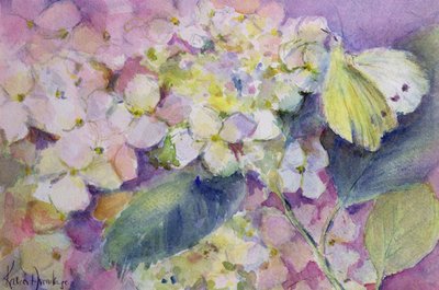 Halvány felhős sárga pillangó, Colias Hyale hortenzián alkotó: Karen Armitage