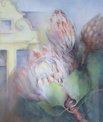 Protea Stellenboschban, 1992 (wc) alkotó: Karen Armitage