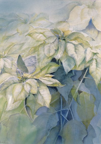 Fehér Mikulásvirág (függőleges) alkotó: Karen Armitage