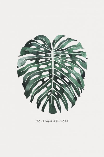 Monstera-levél akvarell alkotó: Karen Menzenbach