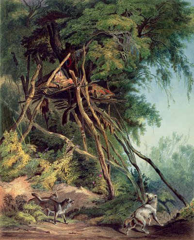 Assiniboin indiánok sírjai a fákon, 30. tábla az Utazások Észak-Amerika belsejében 2. kötetéből. alkotó: Karl (after) Bodmer