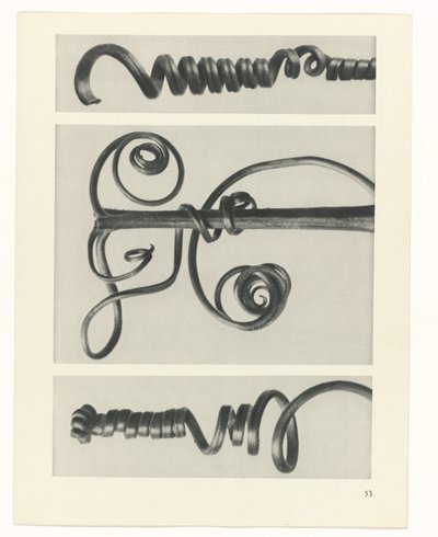 terv tanulmány A művészet archetípusai (sorozat címe) alkotó: Karl Blossfeldt