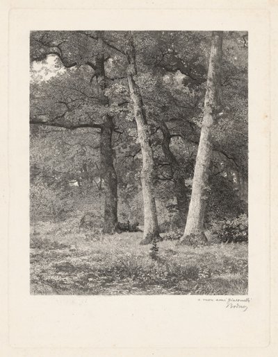 Egy erdei tisztás alkotó: Karl Bodmer