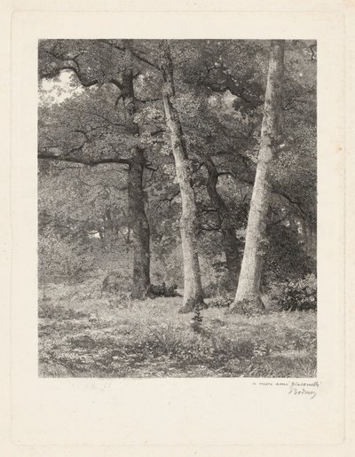 Erdei tisztás alkotó: Karl Bodmer