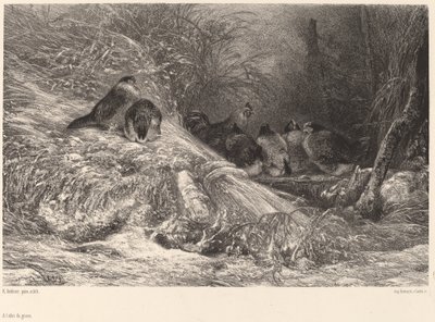 Fagytól védett. alkotó: Karl Bodmer
