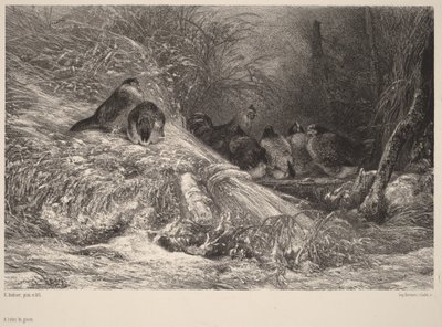 Védve a fagytól alkotó: Karl Bodmer