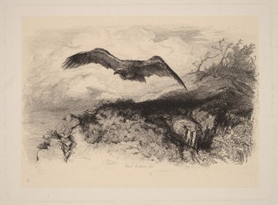 Repülő sas alkotó: Karl Bodmer