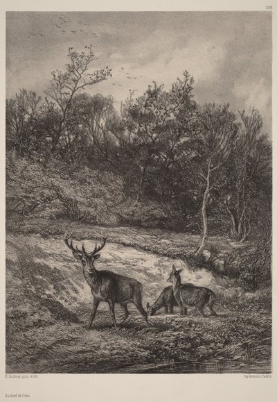 A vízparton alkotó: Karl Bodmer