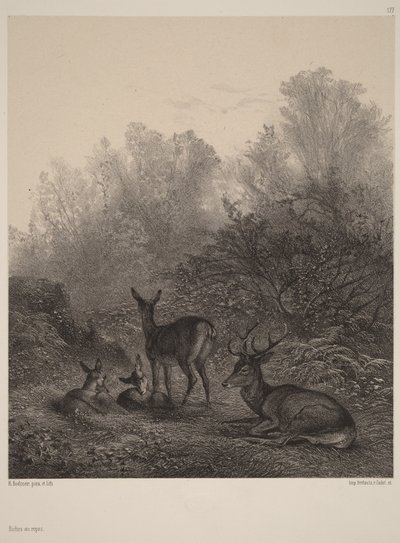 Pihenő szarvastehenek alkotó: Karl Bodmer
