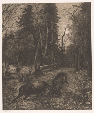 Erdőre néző két harci szarvas alkotó: Karl Bodmer