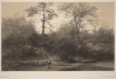 Vadkacsák alkotó: Karl Bodmer