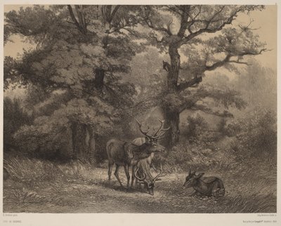 Legelésző szarvasok alkotó: Karl Bodmer