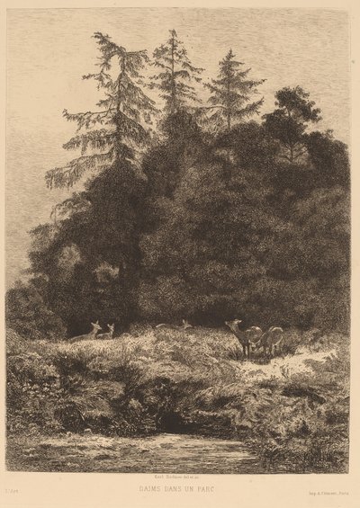 Dámszarvas a parkban. alkotó: Karl Bodmer