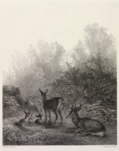 Szarvas nyugalomban alkotó: Karl Bodmer