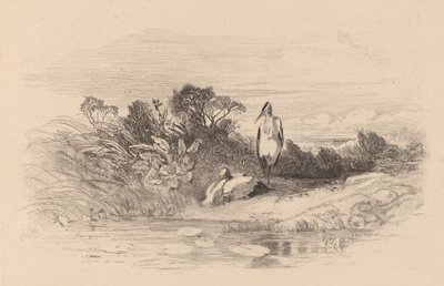 Gémek. alkotó: Karl Bodmer