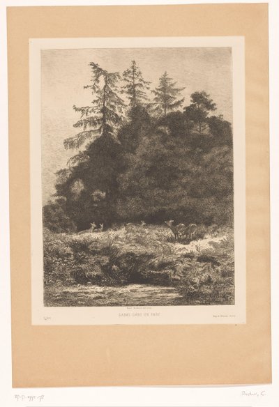 Szarvas az erdő szélén Daims dans un parc (cím az objektumon) alkotó: Karl Bodmer