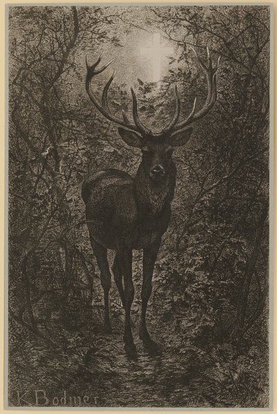 Szent Hubertusz szarvasa alkotó: Karl Bodmer