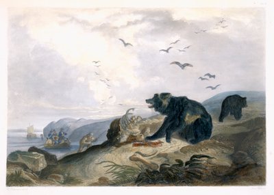 Vadászat a Grizzly Bearre, 36. tábla a „Travels in the Interior of North America” 2. kötetéből, Lucas Weber metszete, 1844 (akvatinta) alkotó: Karl Bodmer
