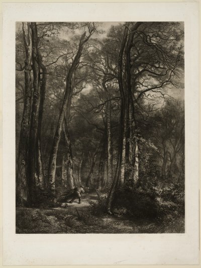 Az erdőben alkotó: Karl Bodmer