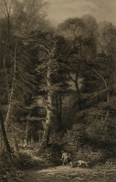 Erdei belső tér alkotó: Karl Bodmer