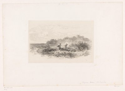 Táj két fehérfarkú szarvassal Tájképek állatokkal (sorozat címe) alkotó: Karl Bodmer