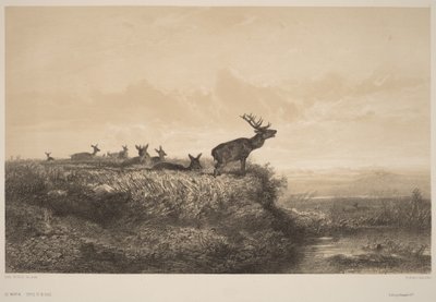 Reggel alkotó: Karl Bodmer