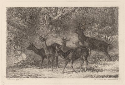 a csorda alkotó: Karl Bodmer