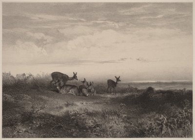 A szarvastehenek alkotó: Karl Bodmer