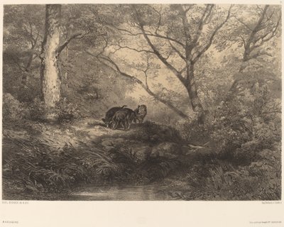 Marcassinok. alkotó: Karl Bodmer