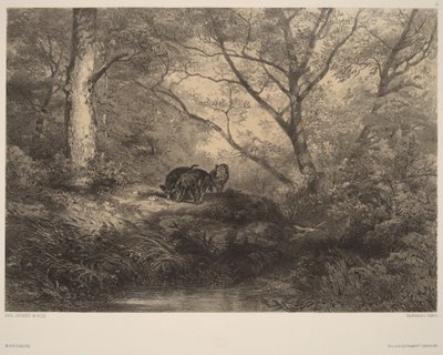 Vaddisznómalacok alkotó: Karl Bodmer