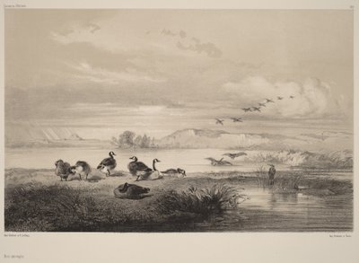 Vadlibák alkotó: Karl Bodmer
