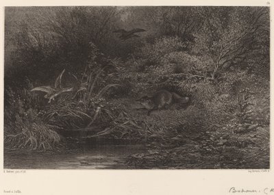 Fox a lesben alkotó: Karl Bodmer