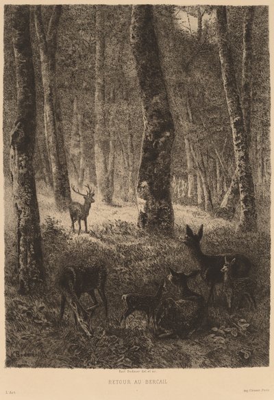 Haza alkotó: Karl Bodmer