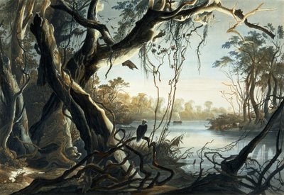 The Mouth of the Fox River, Indiana, 5. tábla a „Travels in the Interior of North America” 2. kötetéből, Sigismond Himely (1801-72) metszetében, 1844 (akvatinta) alkotó: Karl Bodmer