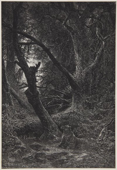 Két medve az erdőben alkotó: Karl Bodmer