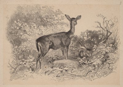 Egy szarvastehén alkotó: Karl Bodmer