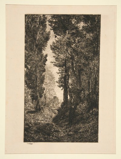 Emelkedő út Auversben alkotó: Karl Daubigny