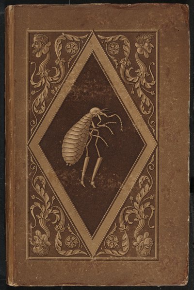 mesterbolha. Egy tündérmese két barát hét kalandjában (Mester Flea: A Fairy-Tale in Seven Adventures of Two Friends alkotó: Karl Friedrich Thiele, Ernst Theodor Amadeus Hoffmann