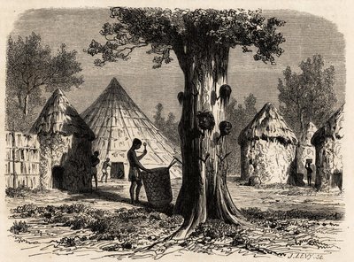 A háború fája egy Djour faluban, a Bahr-el-Gazal régióban, Szudánban, Karl Girardet (1813-1871) rajza A. Bolognesi gazelláinak 1856-1857-es utazásának szemléltetésére. Gravírozás a „Le tour du monde”-ban, szerkesztette Edouard Charton alkotó: Karl Girardet