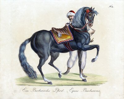  alkotó: Karl Joseph Brodtmann