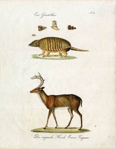  alkotó: Karl Joseph Brodtmann