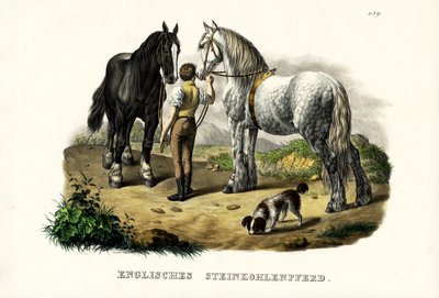 English Pit Horse, 1824 alkotó: Karl Joseph Brodtmann