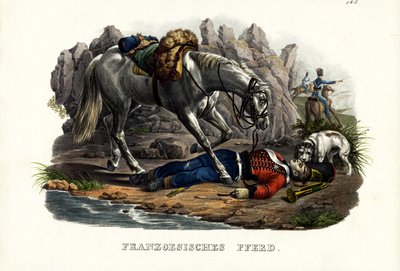 Francia ló, 1824 alkotó: Karl Joseph Brodtmann